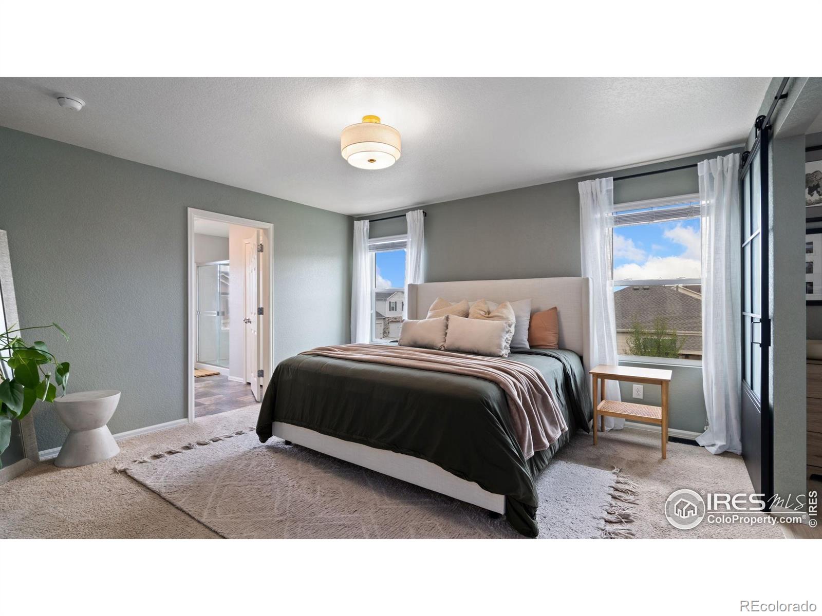 MLS Image #10 for 929  charlton drive,windsor, Colorado