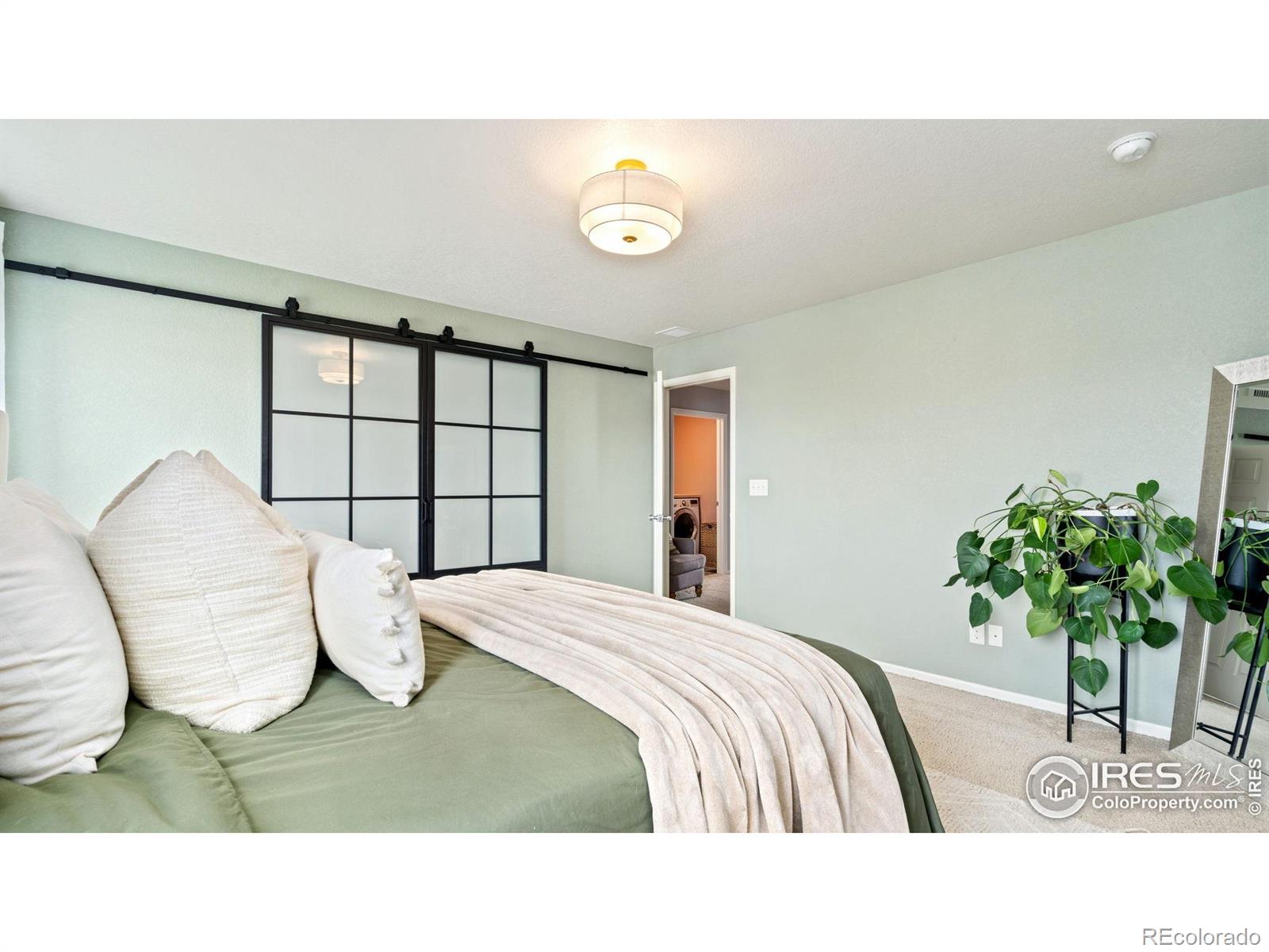 MLS Image #11 for 929  charlton drive,windsor, Colorado