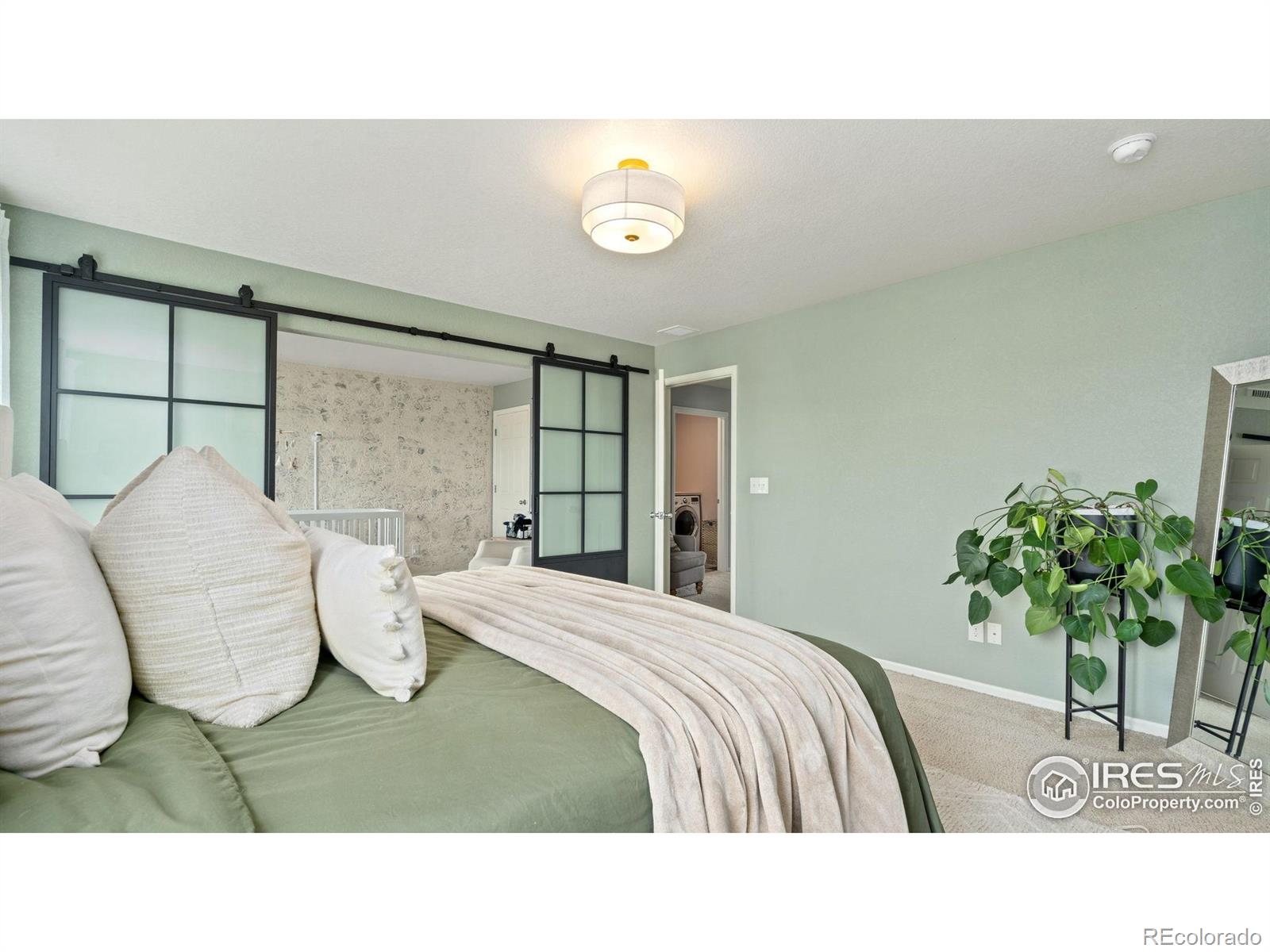 MLS Image #12 for 929  charlton drive,windsor, Colorado