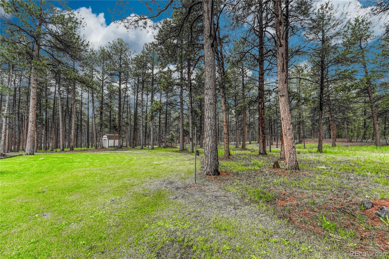 MLS Image #43 for 18470  canterbury drive,monument, Colorado