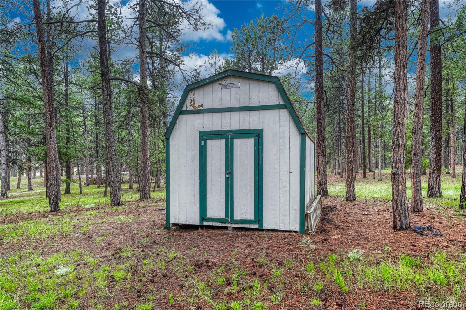 MLS Image #45 for 18470  canterbury drive,monument, Colorado