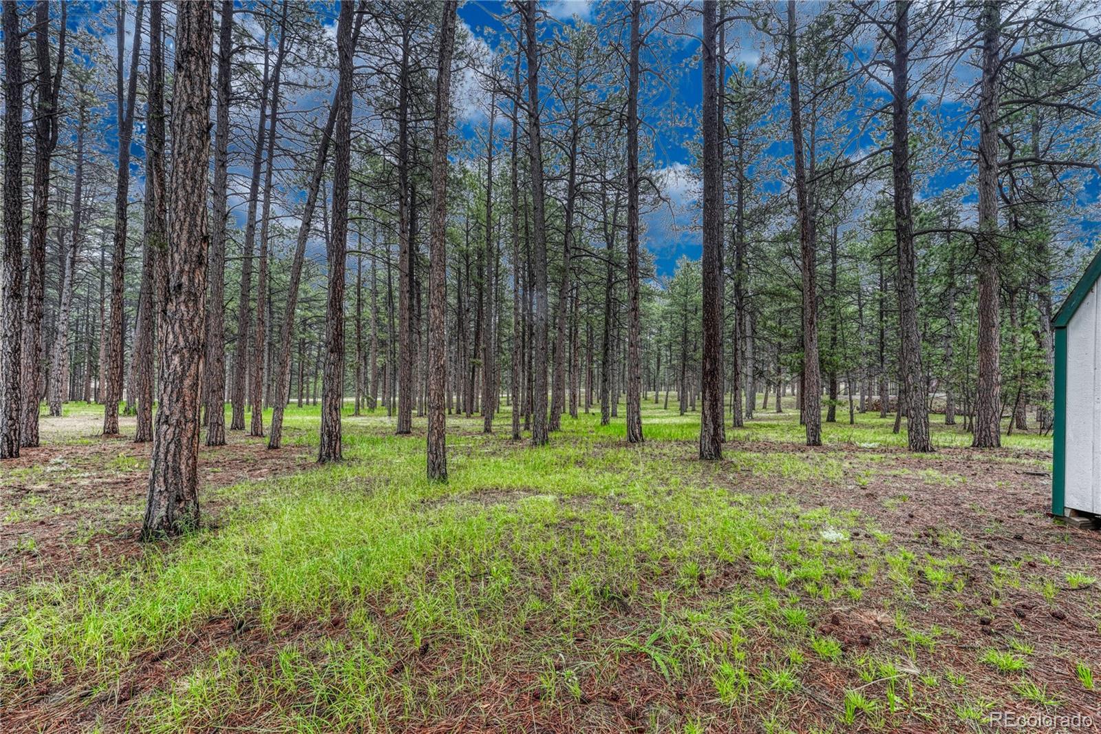 MLS Image #46 for 18470  canterbury drive,monument, Colorado