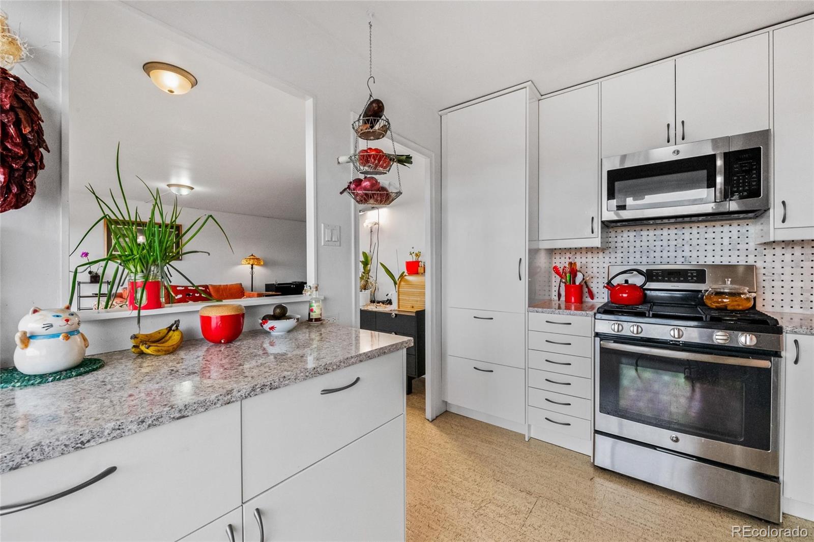 MLS Image #4 for 800 n washington street,denver, Colorado