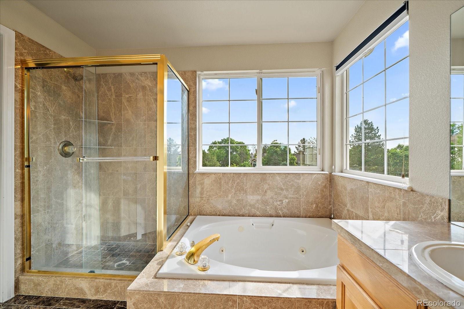 MLS Image #21 for 9602  indian wells drive,lone tree, Colorado