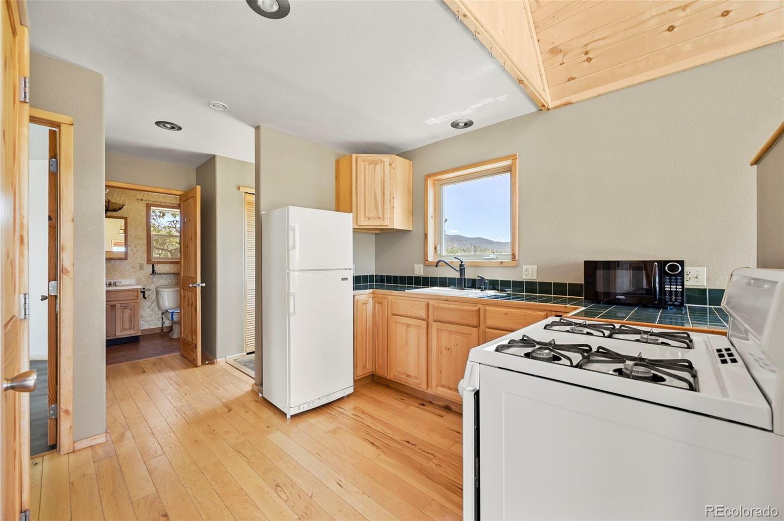 MLS Image #4 for 1689  grand teton drive,hartsel, Colorado