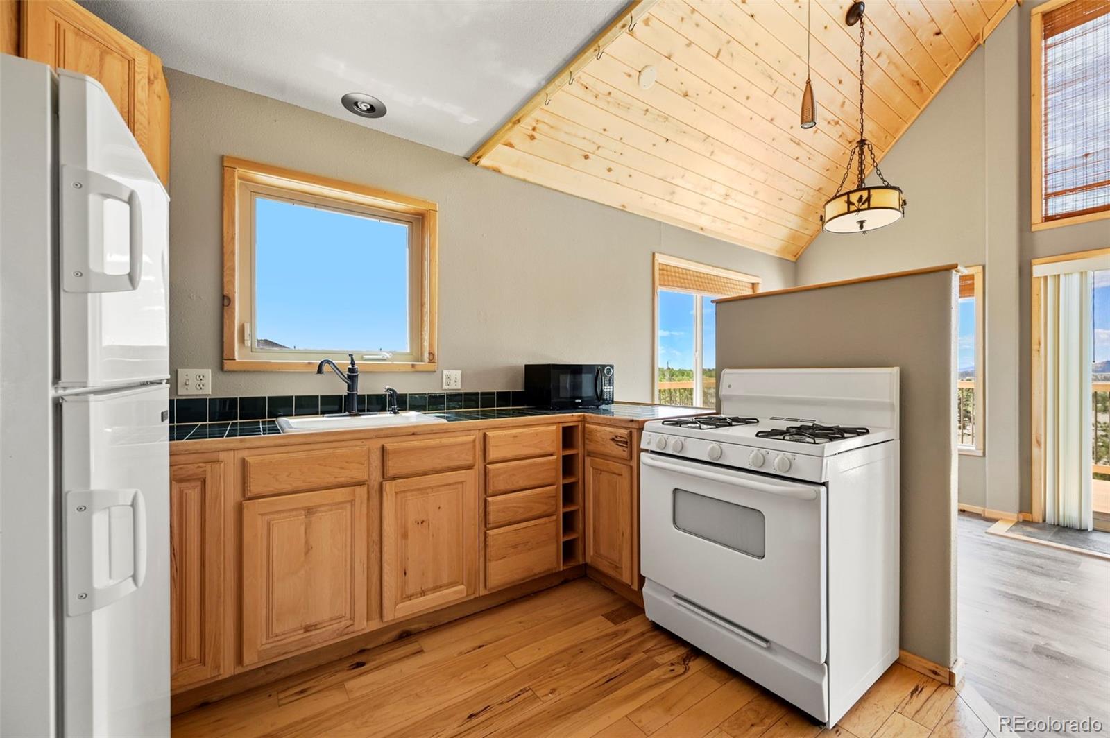 MLS Image #5 for 1689  grand teton drive,hartsel, Colorado