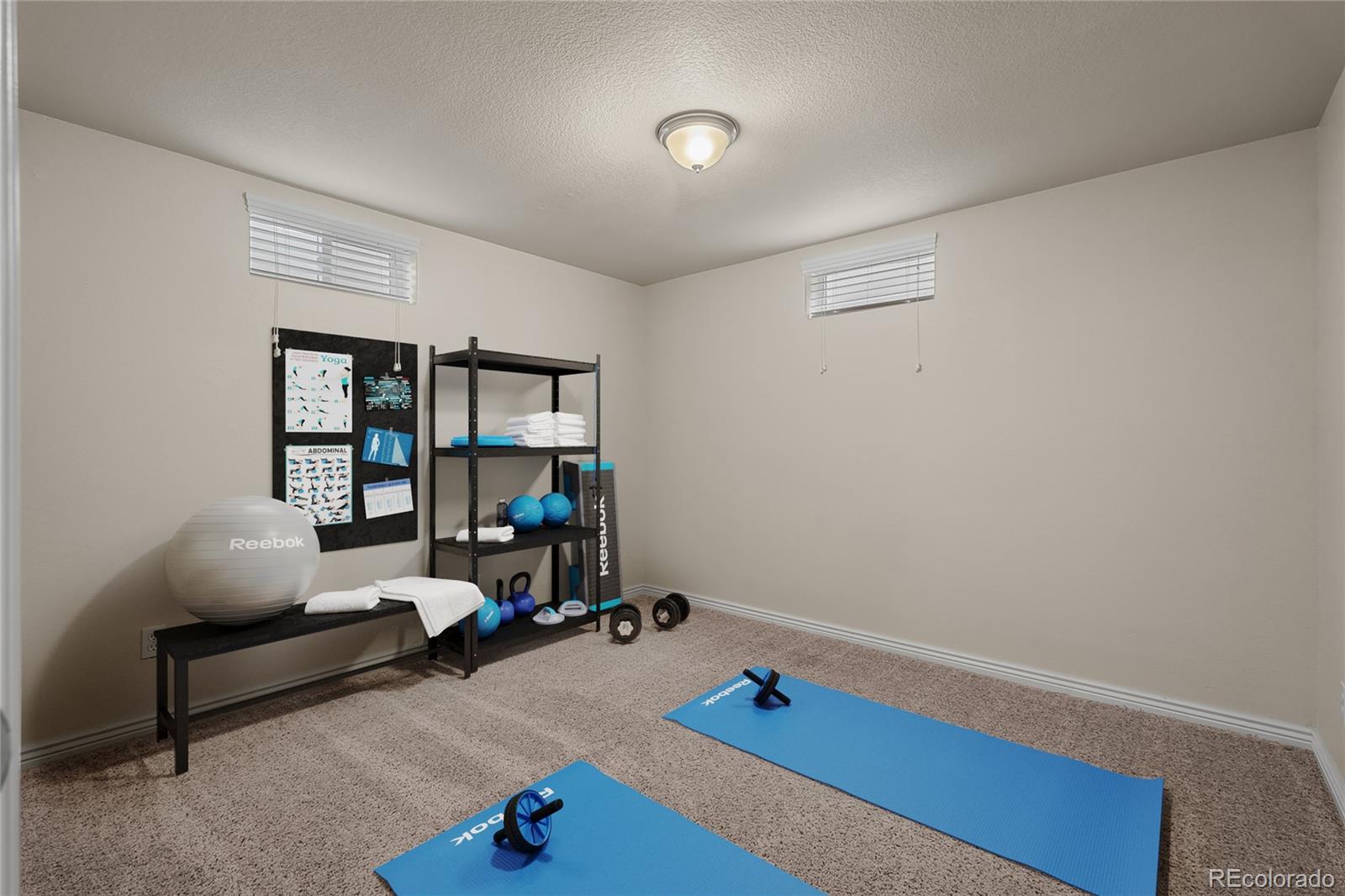 MLS Image #29 for 2907  pennsylvania avenue,colorado springs, Colorado