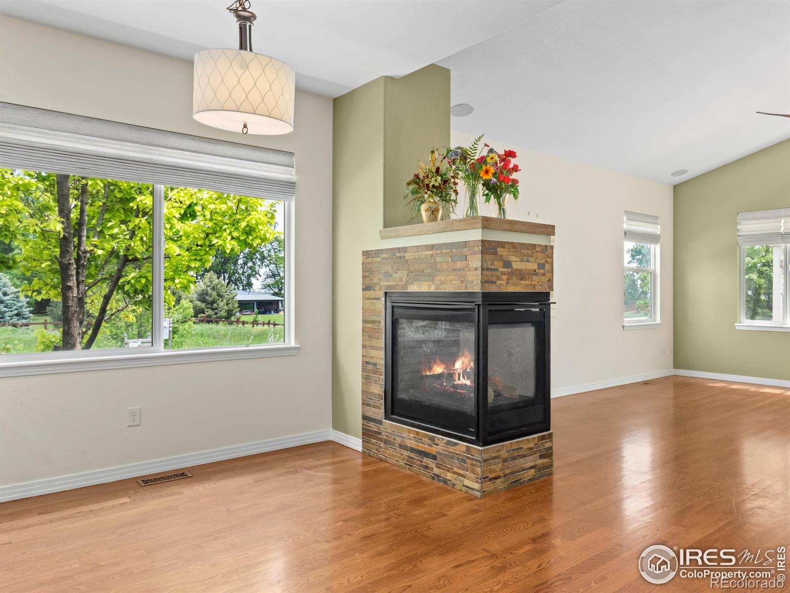MLS Image #16 for 603  summer hawk drive,longmont, Colorado