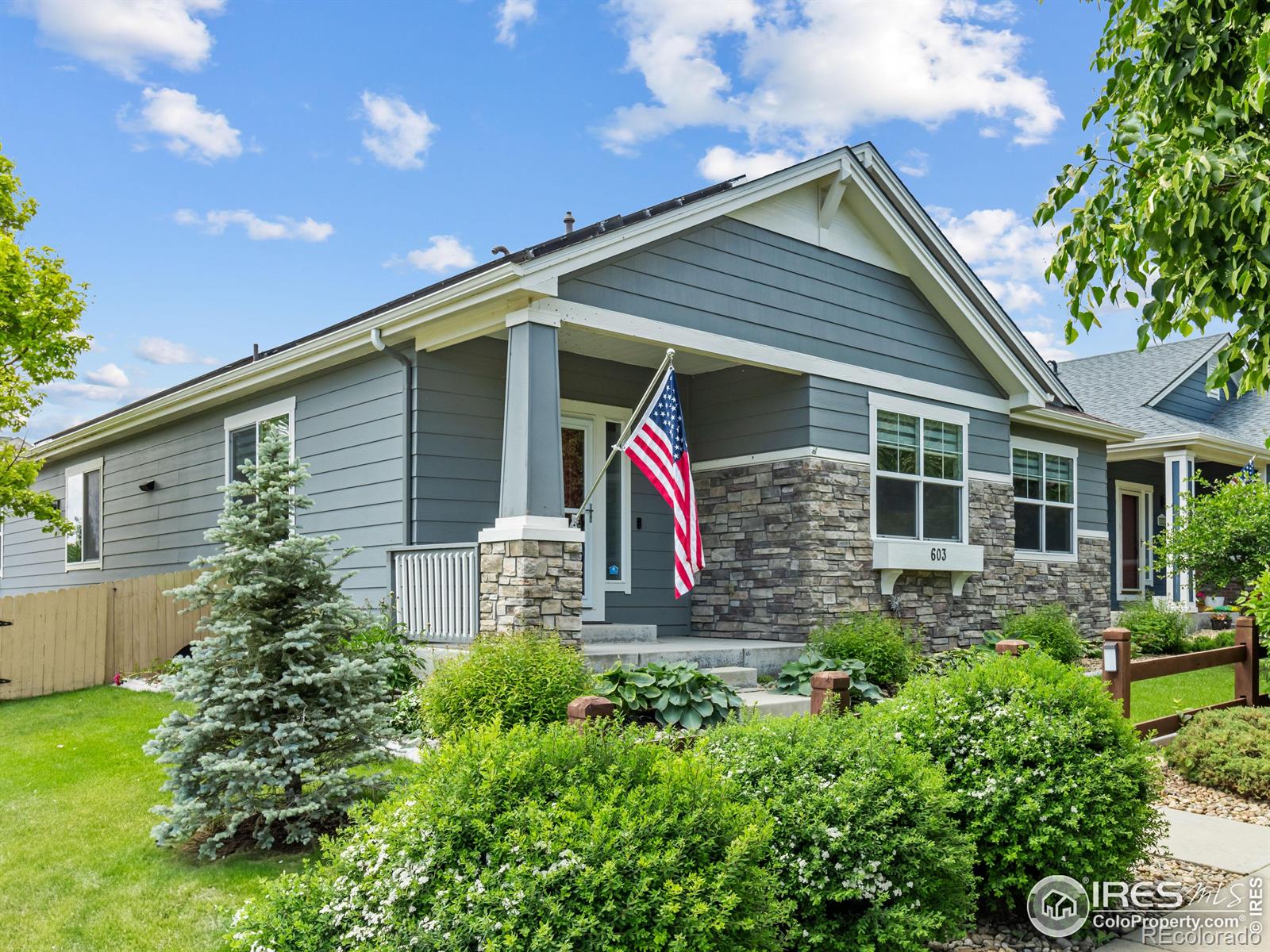 MLS Image #2 for 603  summer hawk drive,longmont, Colorado