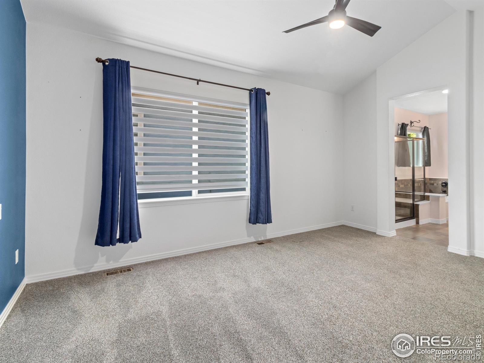 MLS Image #20 for 603  summer hawk drive,longmont, Colorado