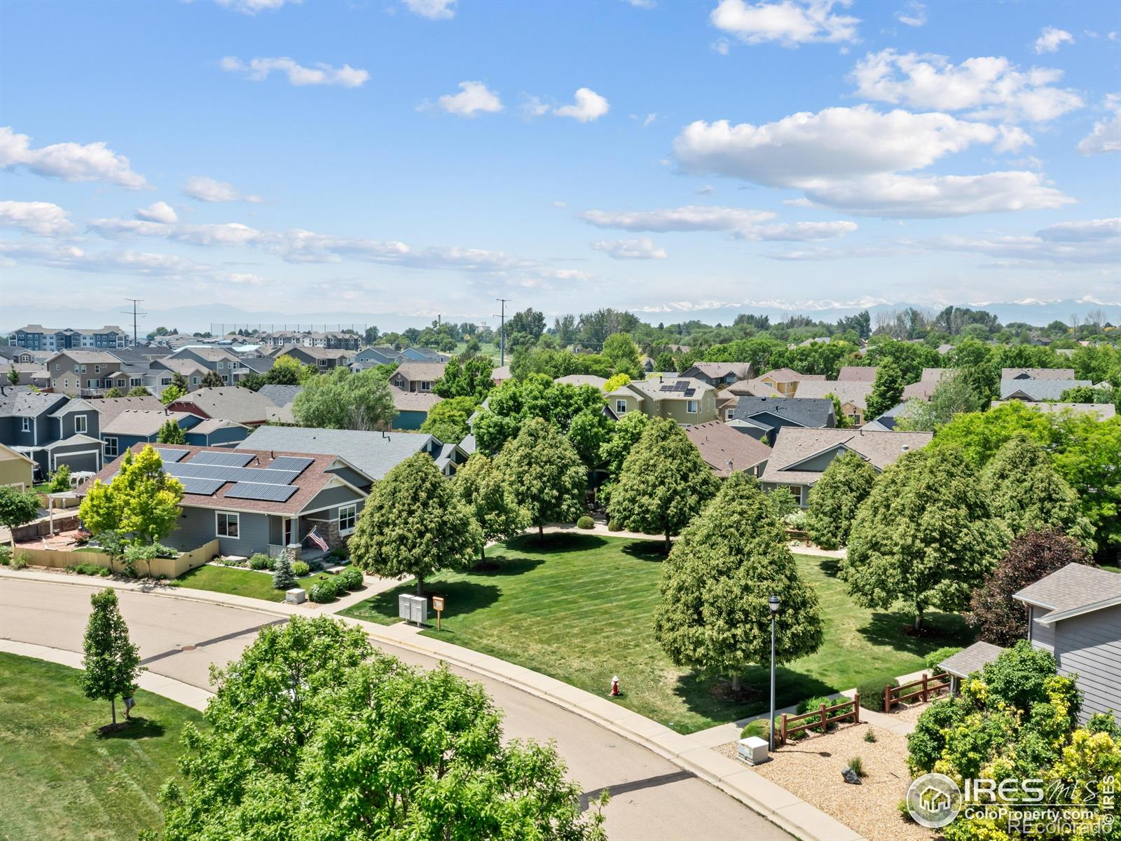 MLS Image #34 for 603  summer hawk drive,longmont, Colorado