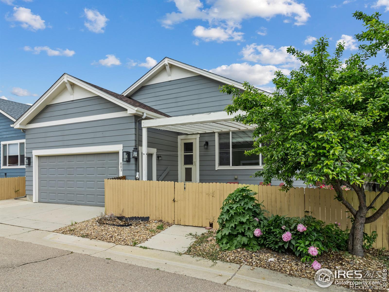MLS Image #5 for 603  summer hawk drive,longmont, Colorado