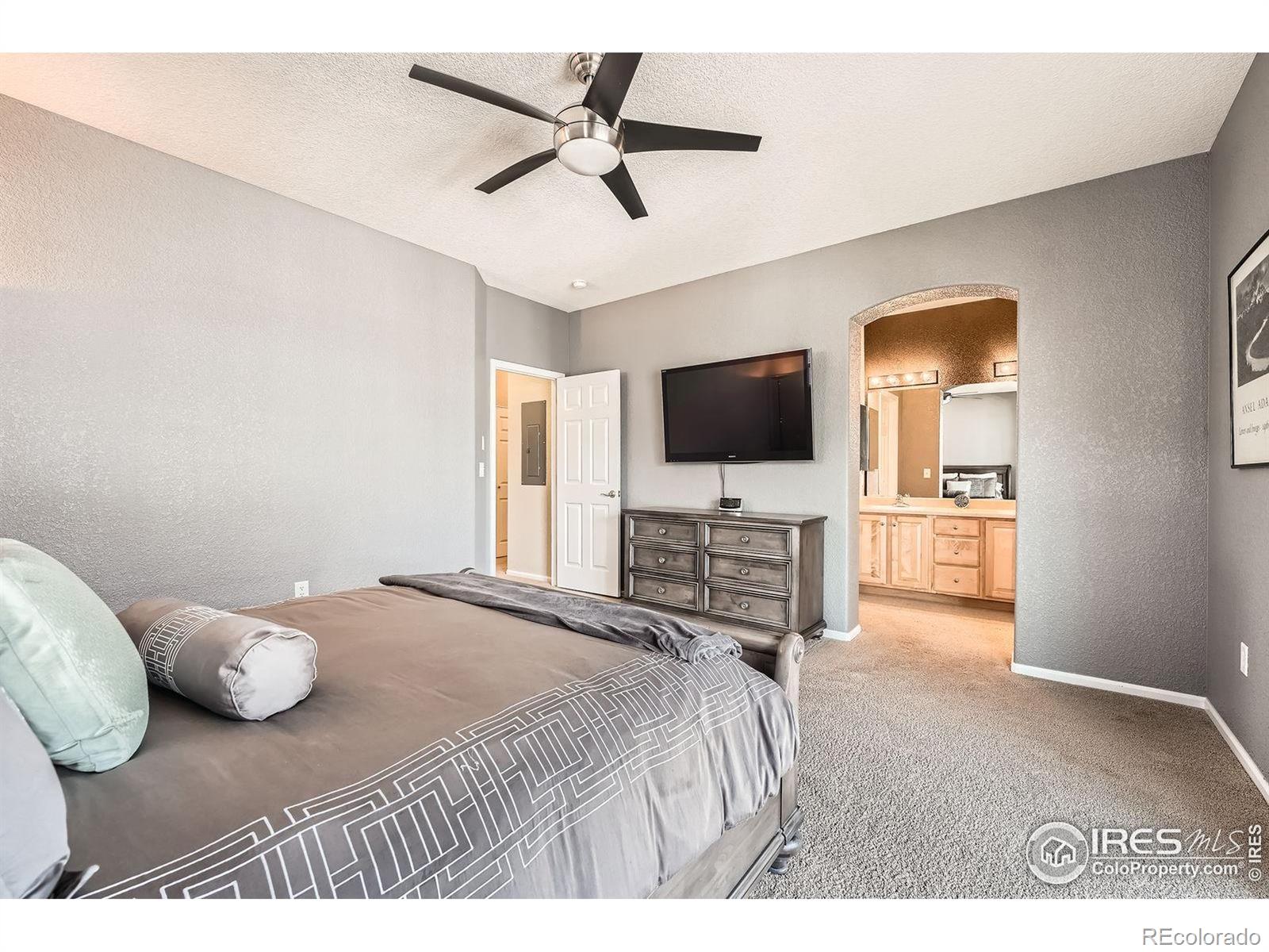 MLS Image #10 for 122  whitehaven circle,highlands ranch, Colorado