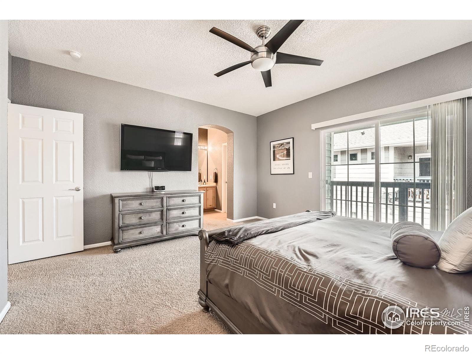 MLS Image #11 for 122  whitehaven circle,highlands ranch, Colorado