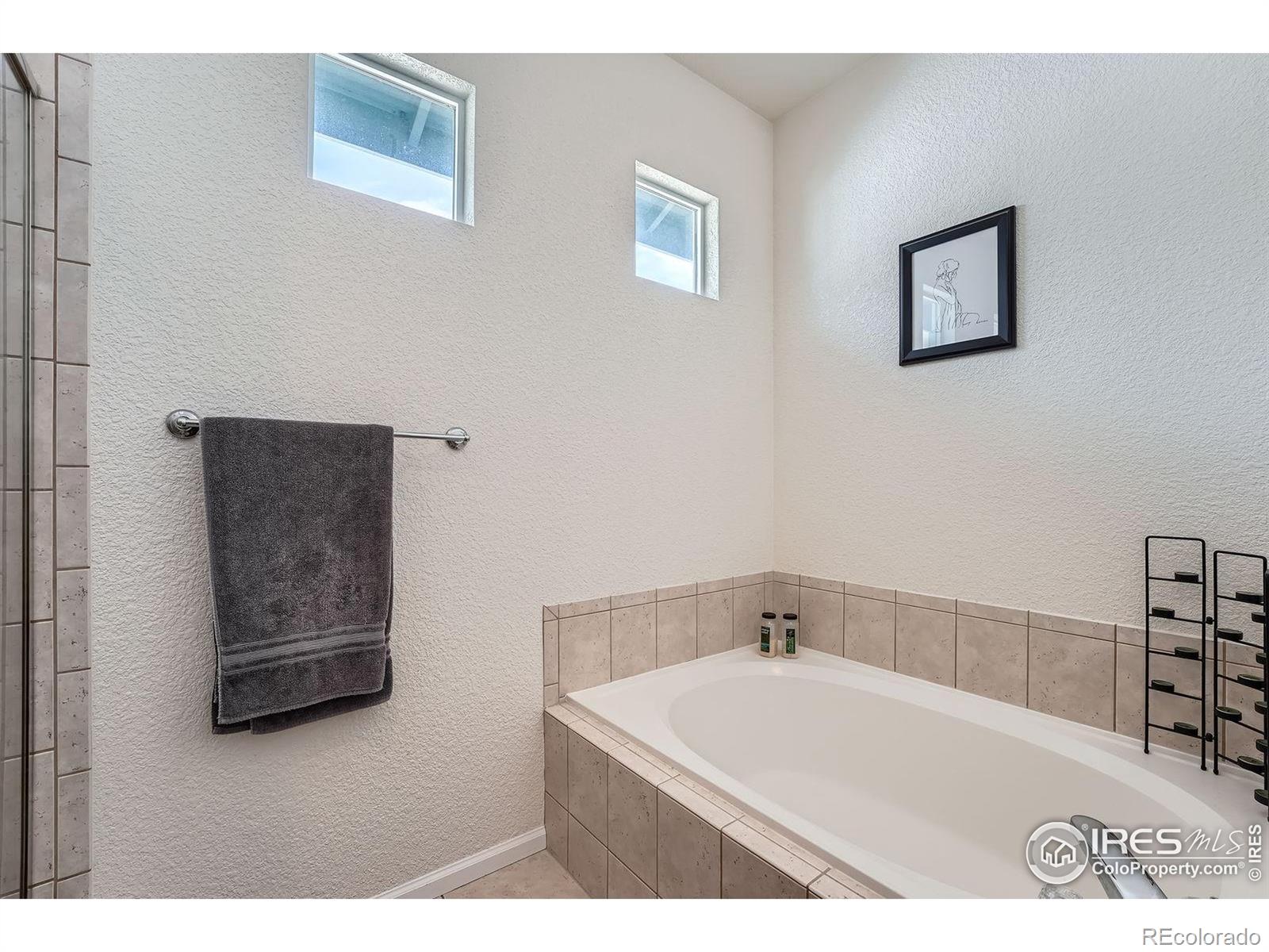 MLS Image #15 for 122  whitehaven circle,highlands ranch, Colorado
