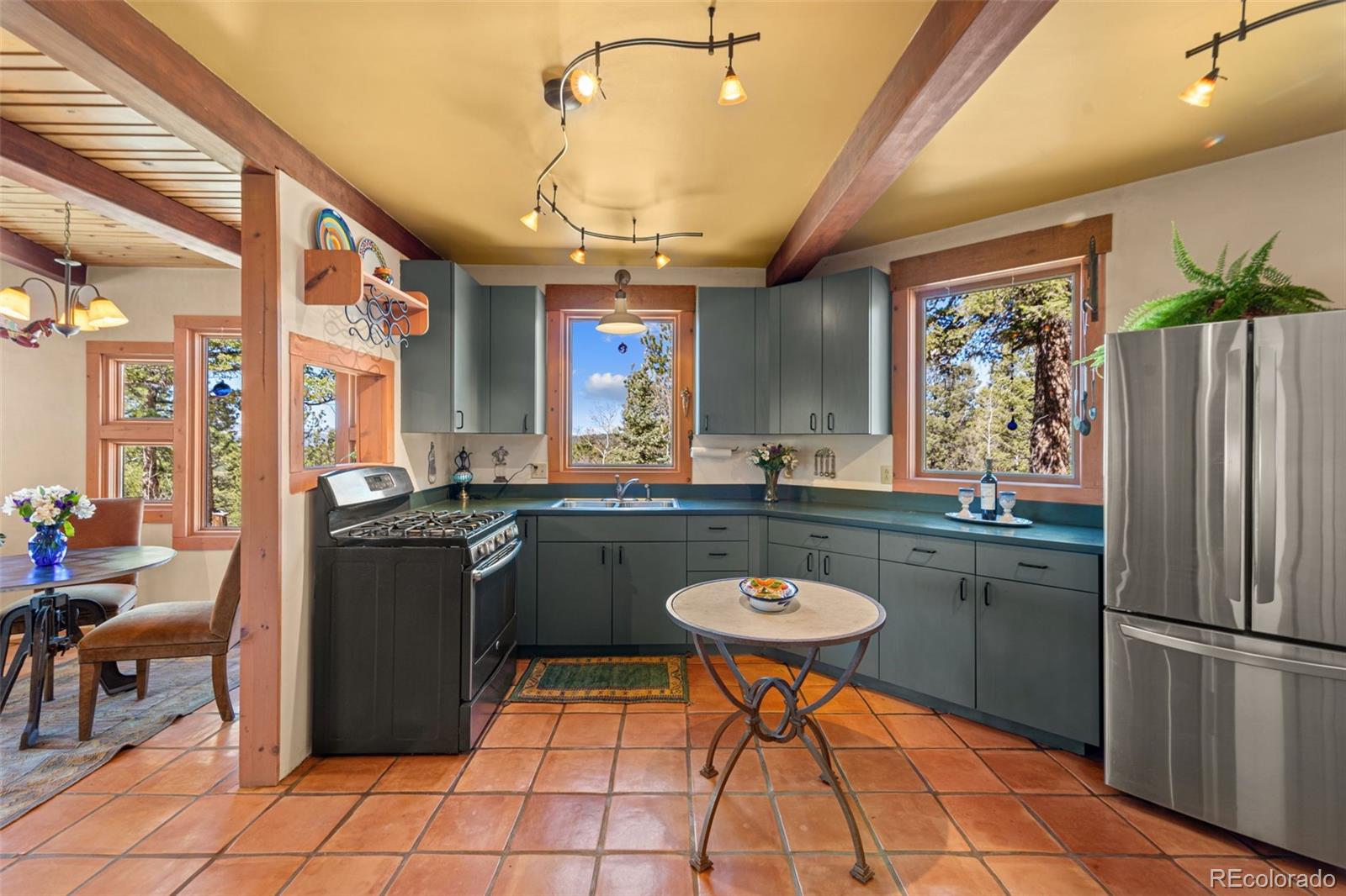MLS Image #11 for 174  needle creek road,divide, Colorado