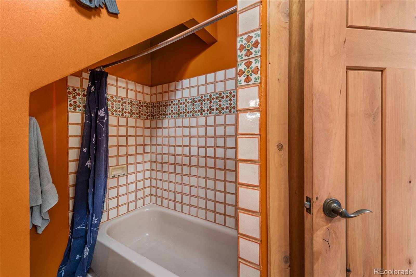 MLS Image #16 for 174  needle creek road,divide, Colorado
