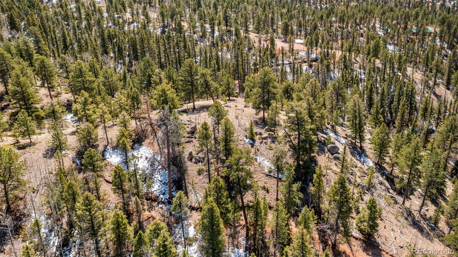 MLS Image #39 for 174  needle creek road,divide, Colorado