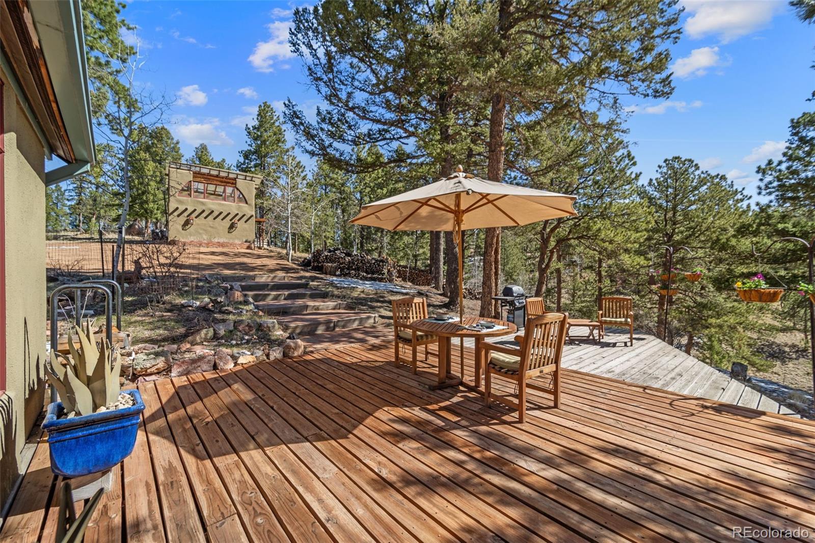 MLS Image #4 for 174  needle creek road,divide, Colorado