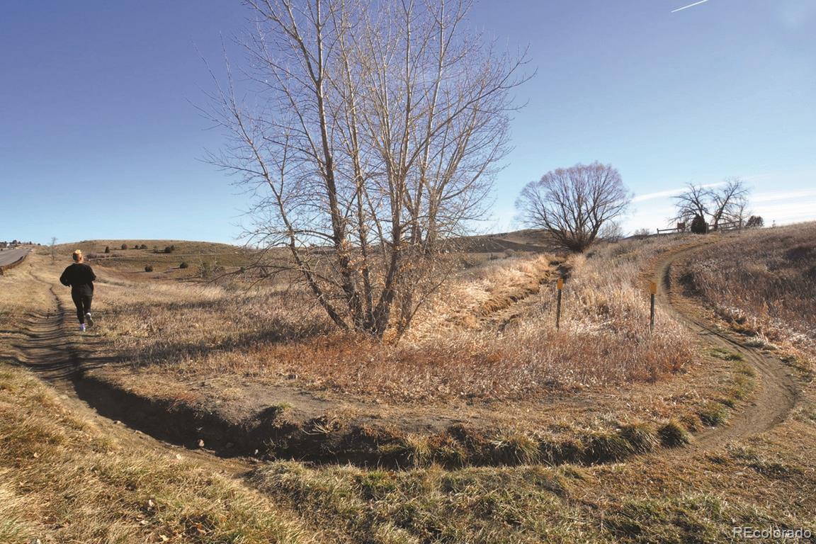 MLS Image #20 for 1829 s union boulevard,lakewood, Colorado