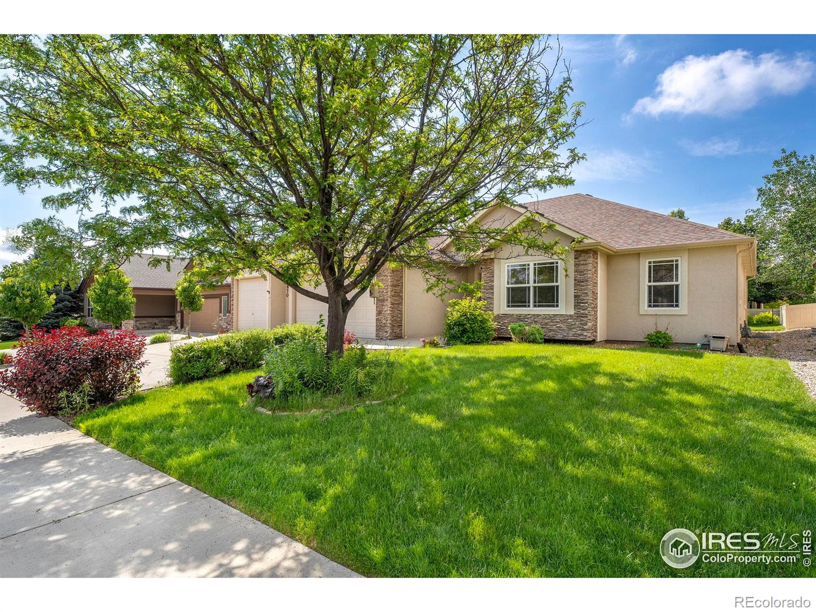 MLS Image #1 for 870  norway maple drive,loveland, Colorado