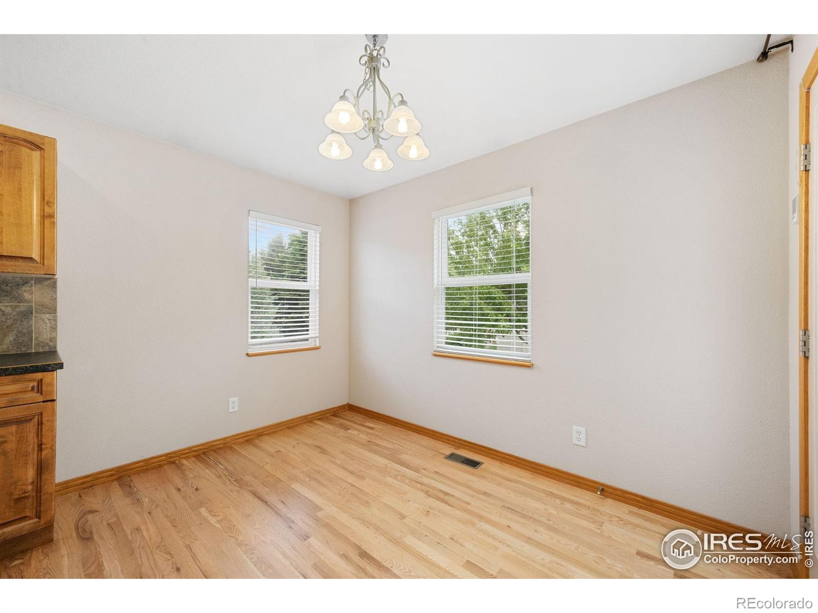 MLS Image #14 for 870  norway maple drive,loveland, Colorado