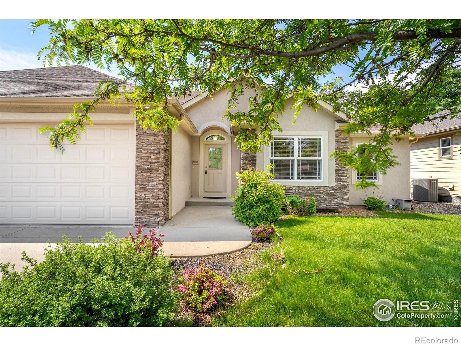 MLS Image #2 for 870  norway maple drive,loveland, Colorado