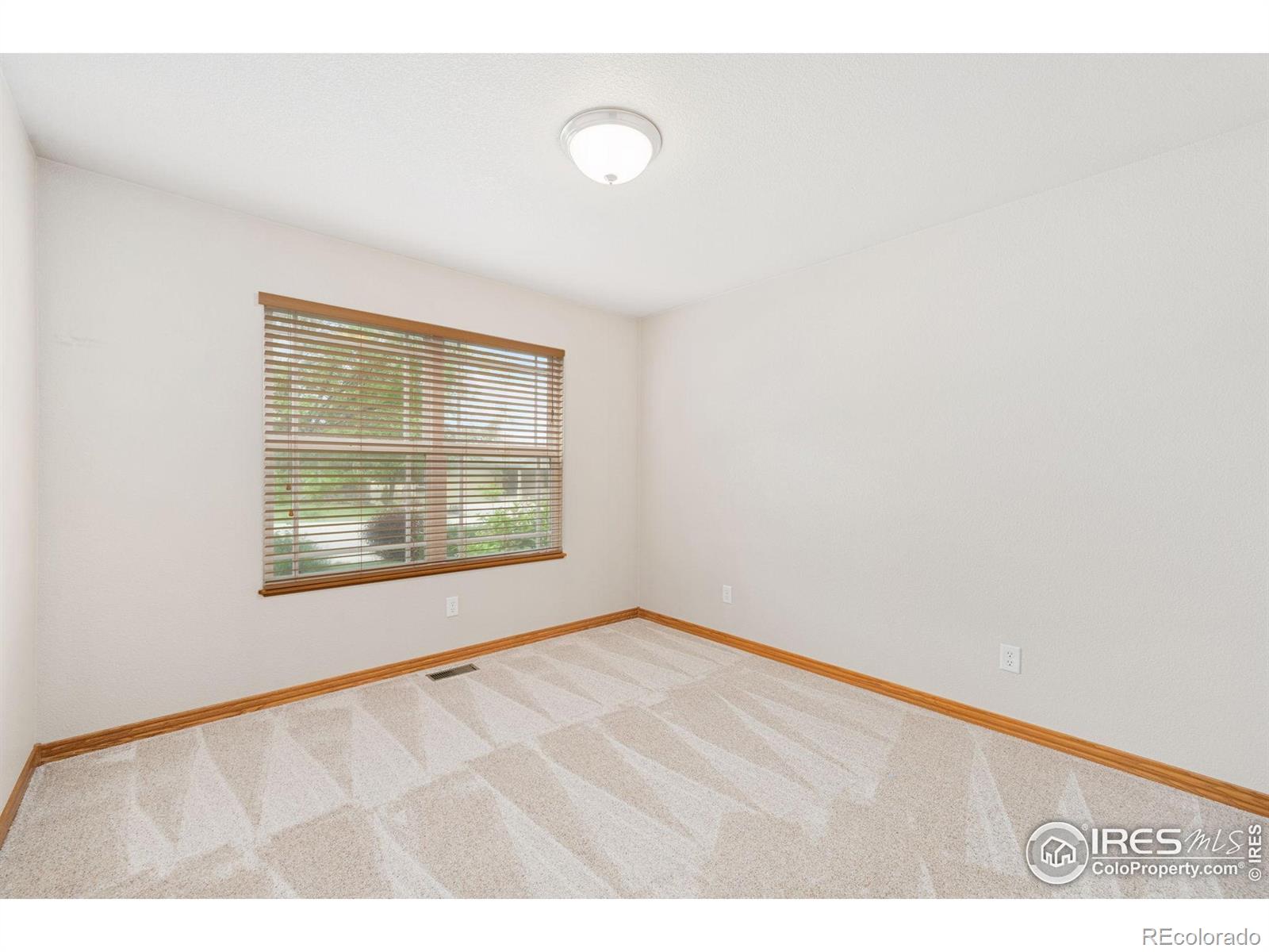MLS Image #24 for 870  norway maple drive,loveland, Colorado