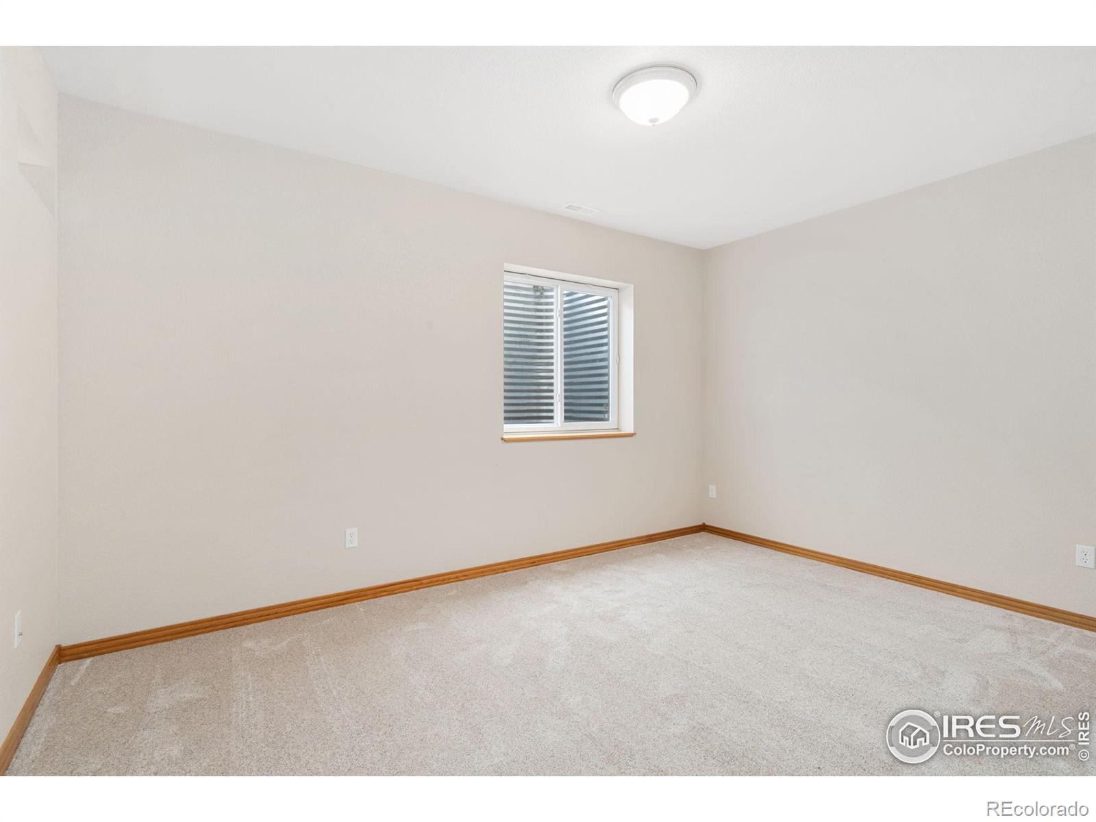 MLS Image #33 for 870  norway maple drive,loveland, Colorado