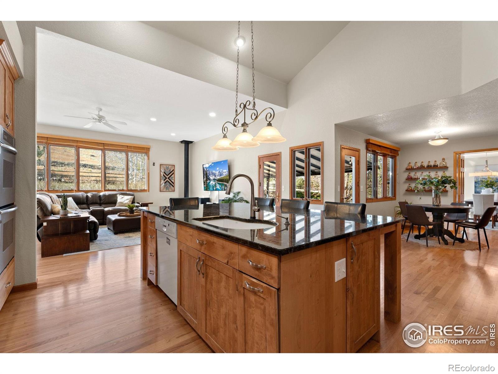 MLS Image #11 for 2508  doolittle court,fort collins, Colorado