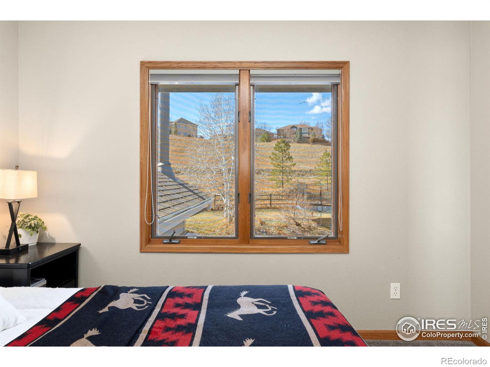 MLS Image #25 for 2508  doolittle court,fort collins, Colorado