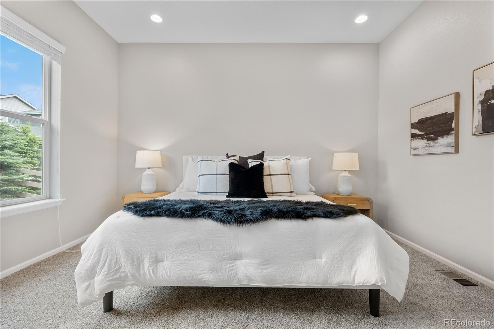 MLS Image #18 for 9781  eagle river street,littleton, Colorado