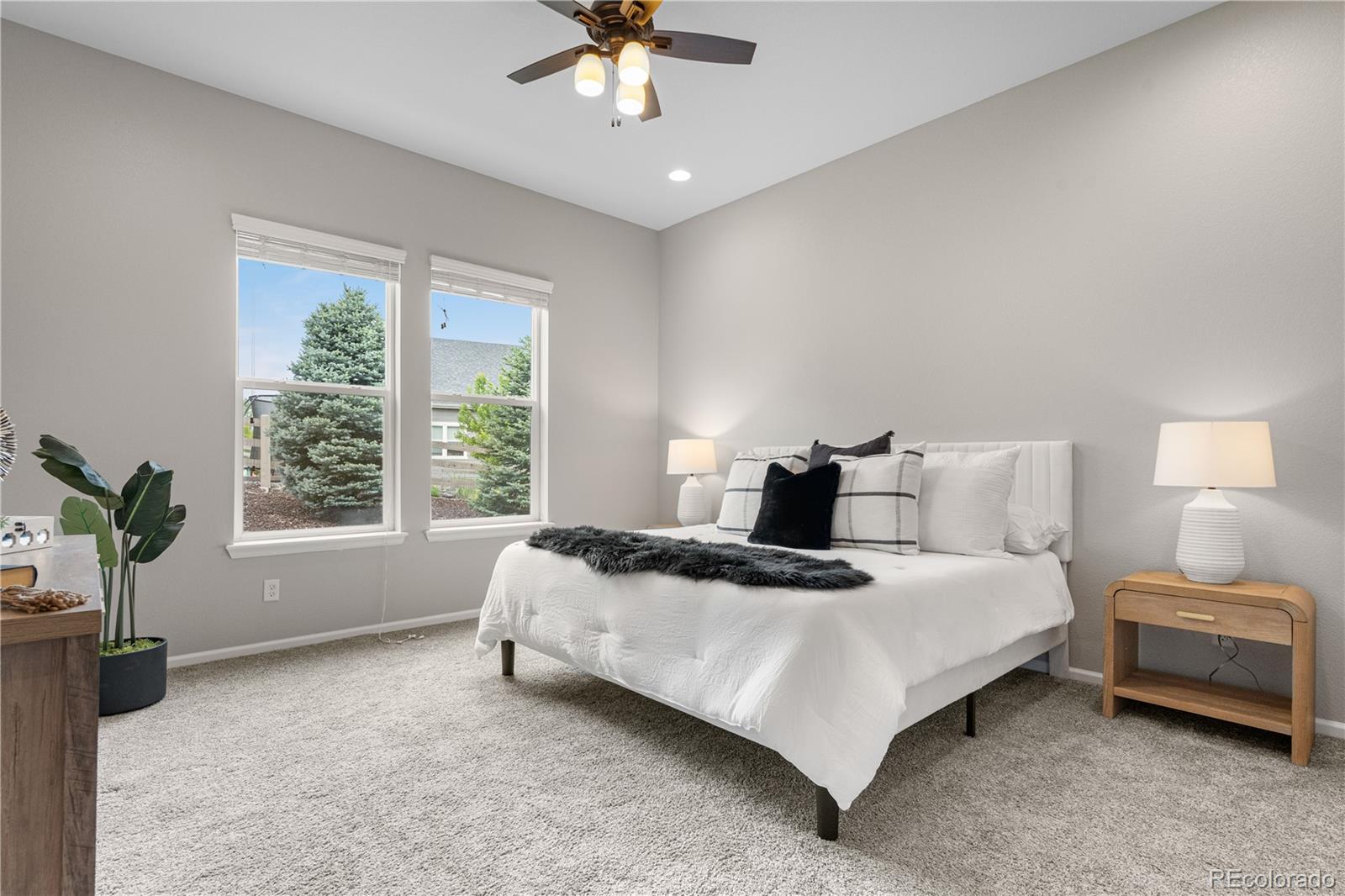 MLS Image #19 for 9781  eagle river street,littleton, Colorado