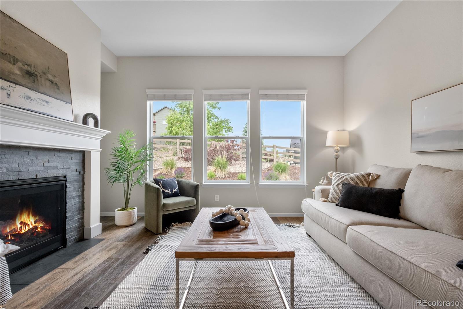 MLS Image #6 for 9781  eagle river street,littleton, Colorado