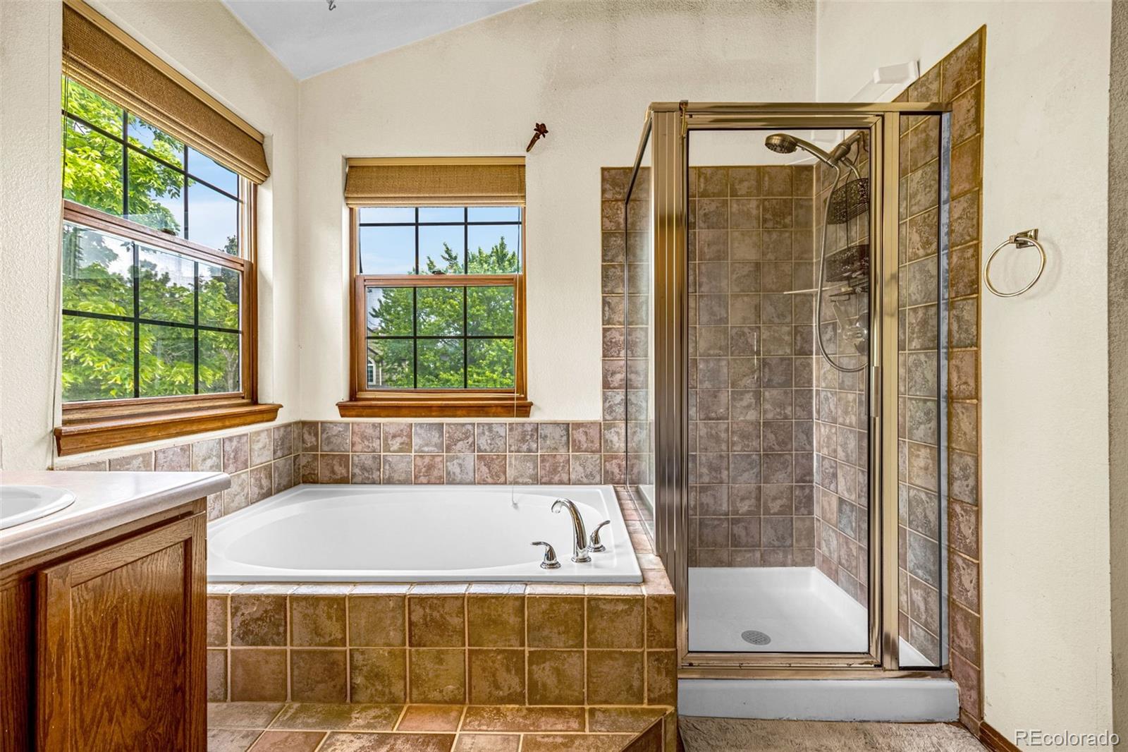 MLS Image #19 for 473  somerset drive,golden, Colorado