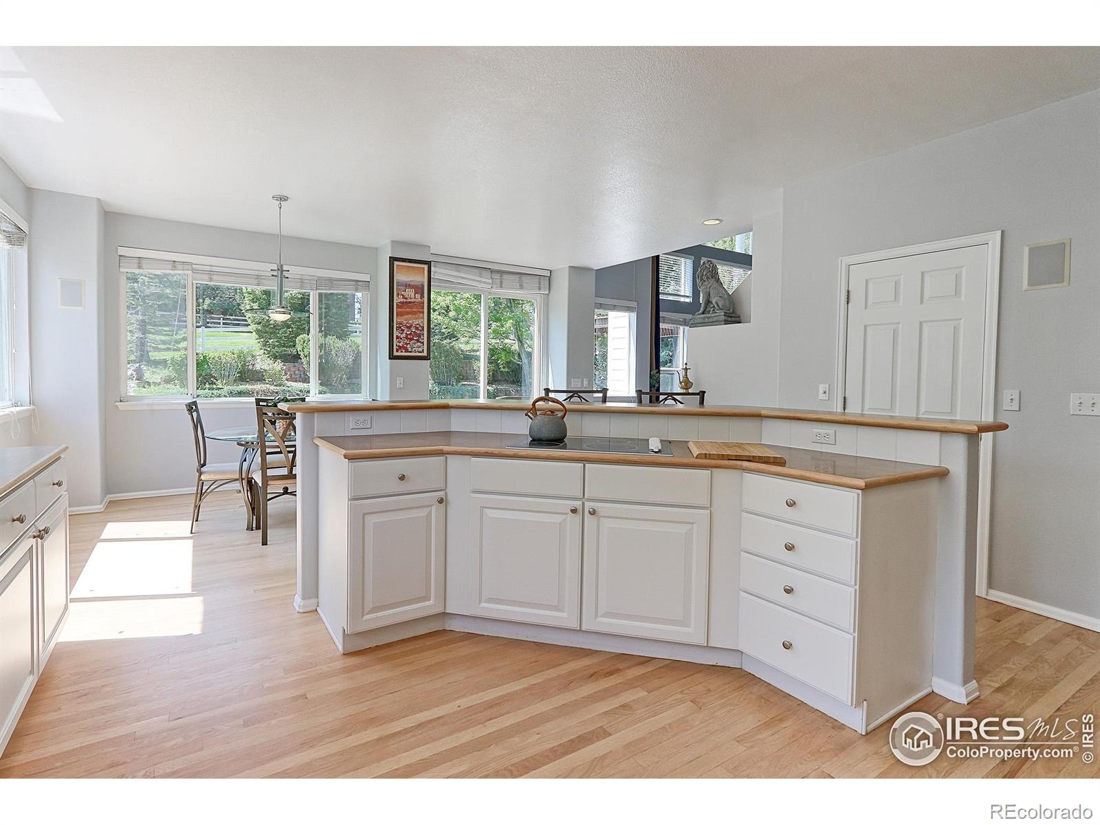 MLS Image #10 for 7858  oban court,lone tree, Colorado