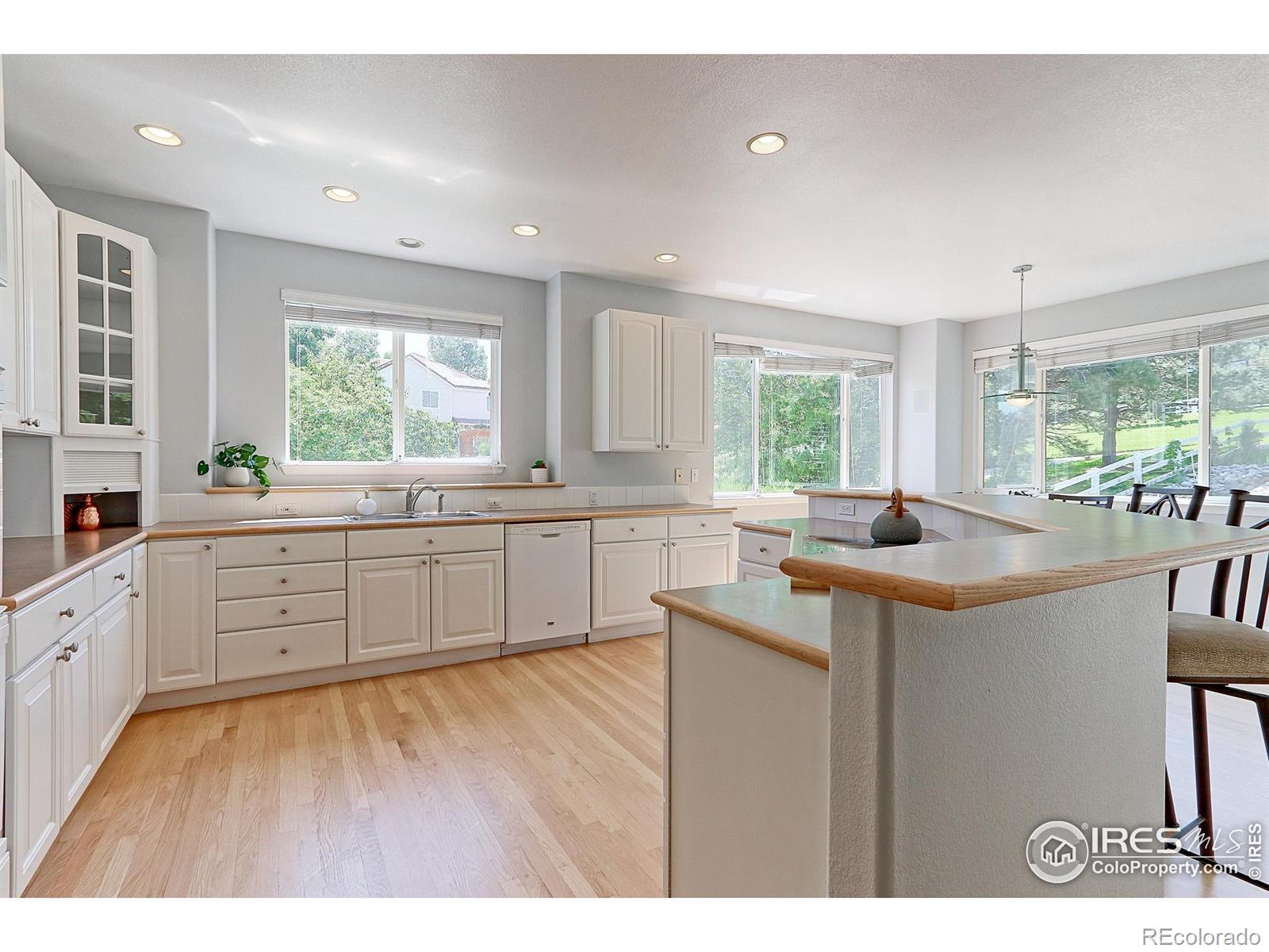 MLS Image #11 for 7858  oban court,lone tree, Colorado