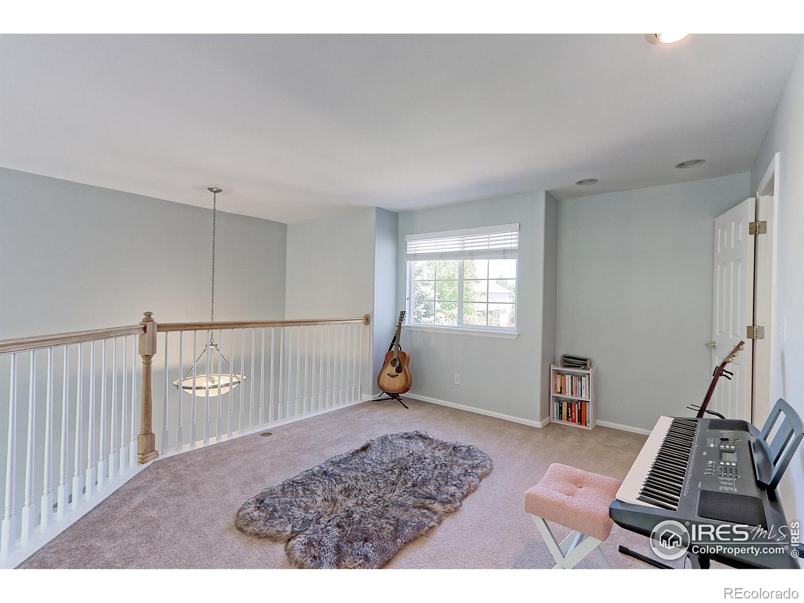 MLS Image #18 for 7858  oban court,lone tree, Colorado