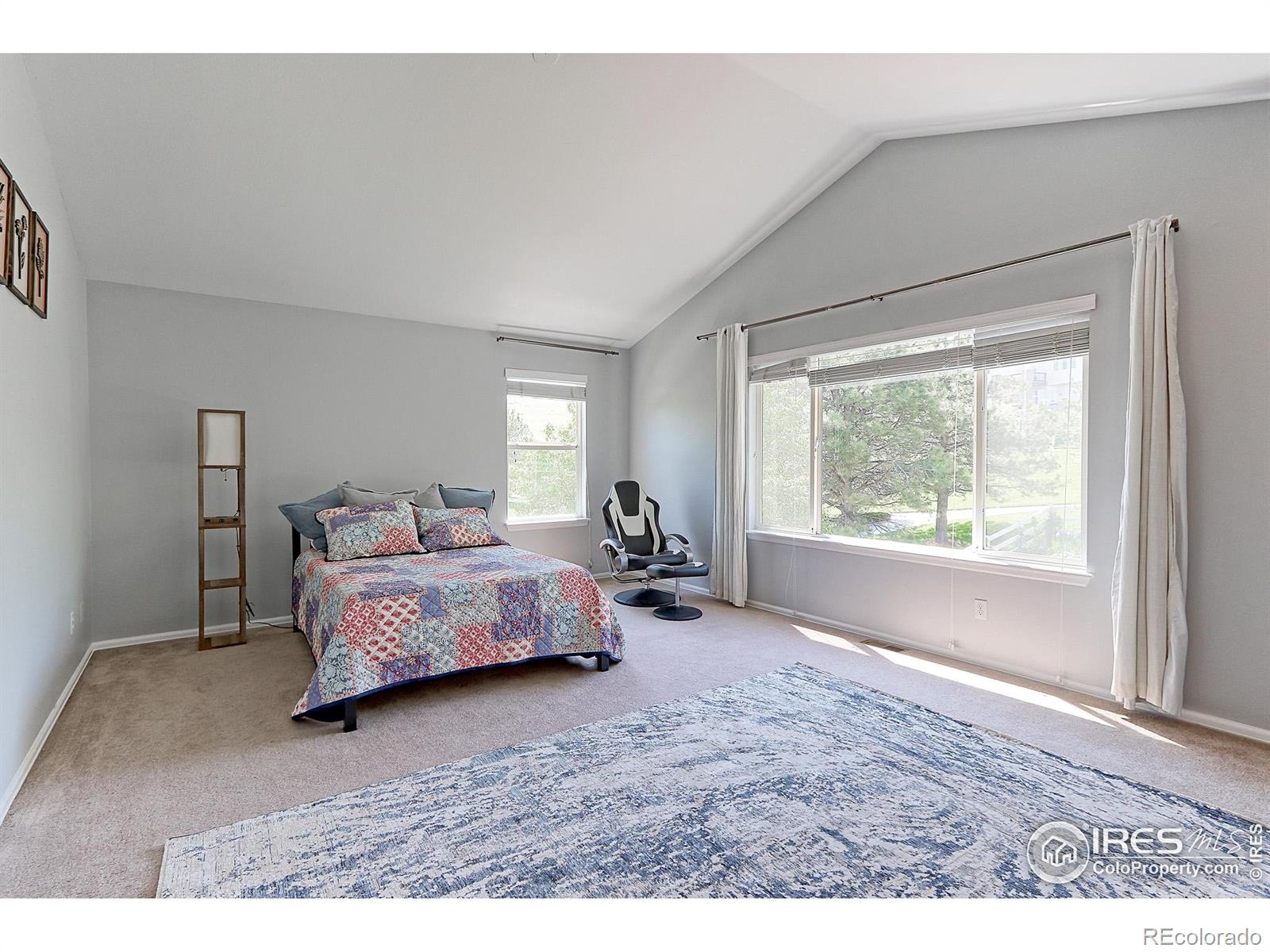 MLS Image #19 for 7858  oban court,lone tree, Colorado