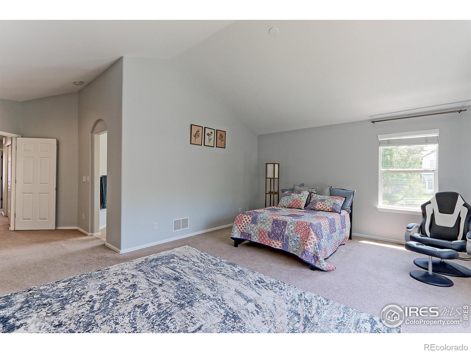 MLS Image #20 for 7858  oban court,lone tree, Colorado