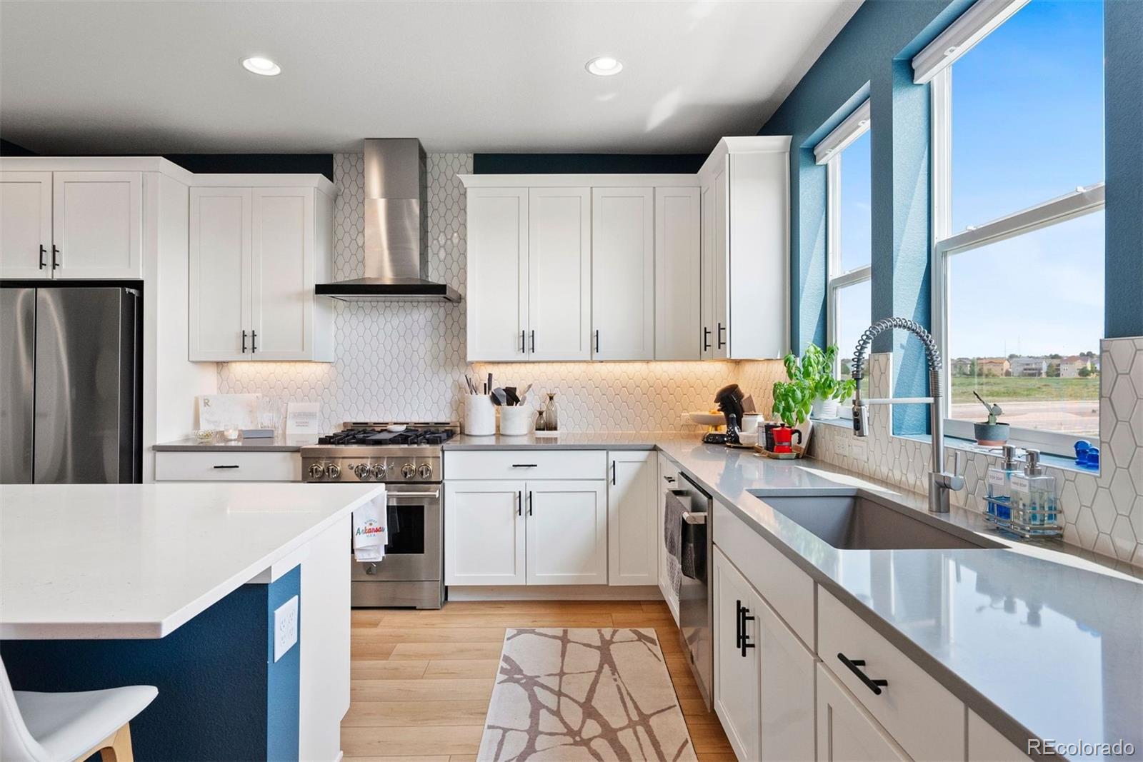 MLS Image #16 for 15020  cast pebble circle,parker, Colorado