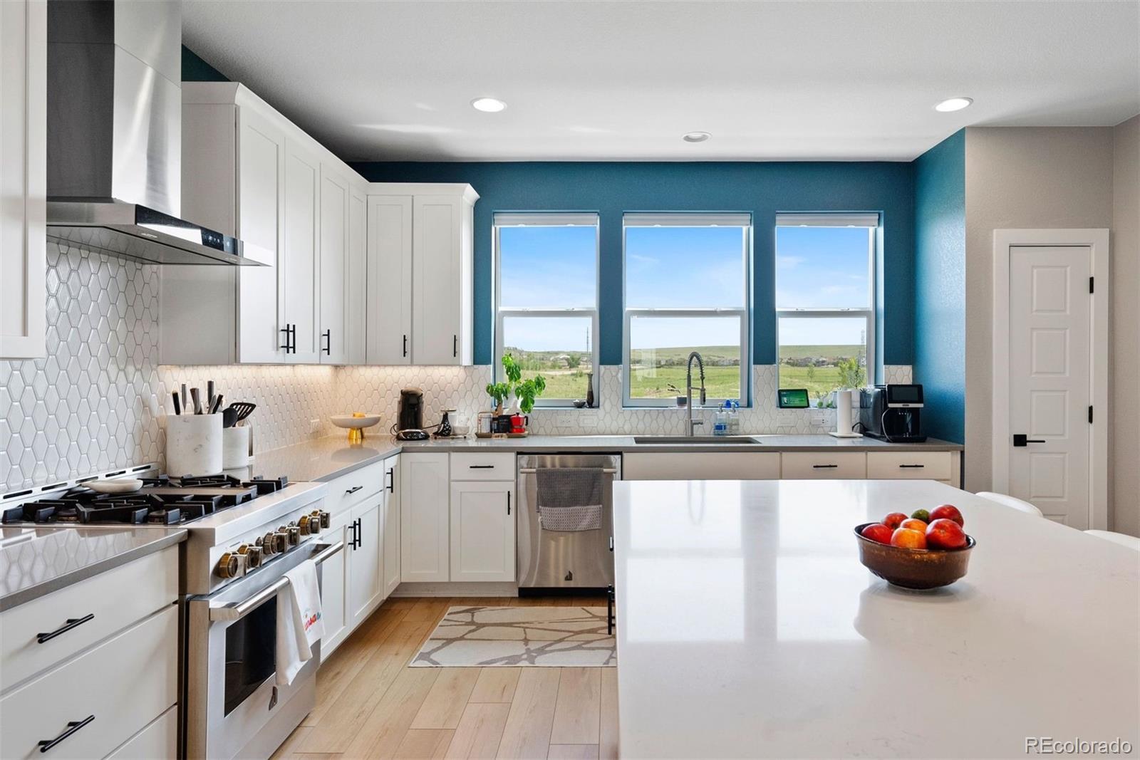 MLS Image #17 for 15020  cast pebble circle,parker, Colorado