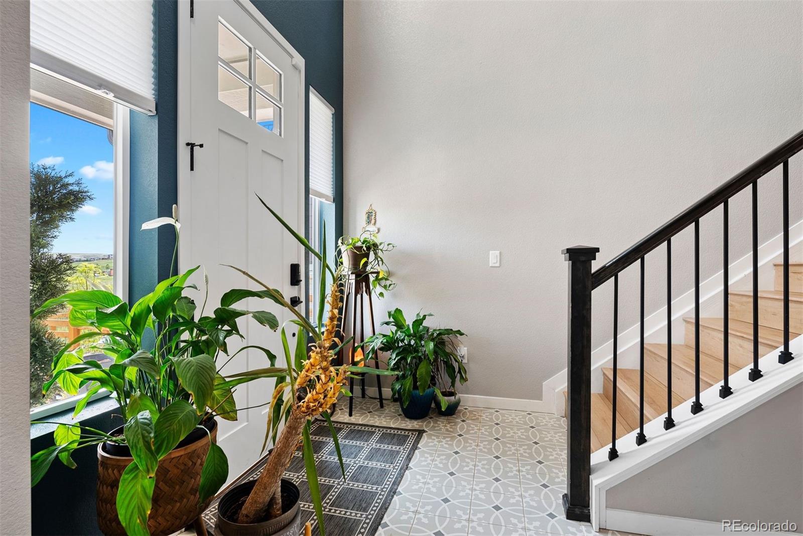MLS Image #5 for 15020  cast pebble circle,parker, Colorado