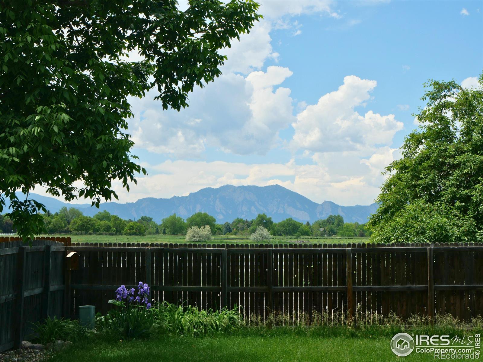 MLS Image #31 for 311 s adams drive,louisville, Colorado