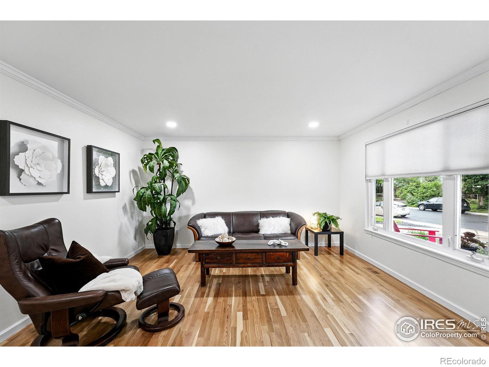 MLS Image #6 for 311 s adams drive,louisville, Colorado