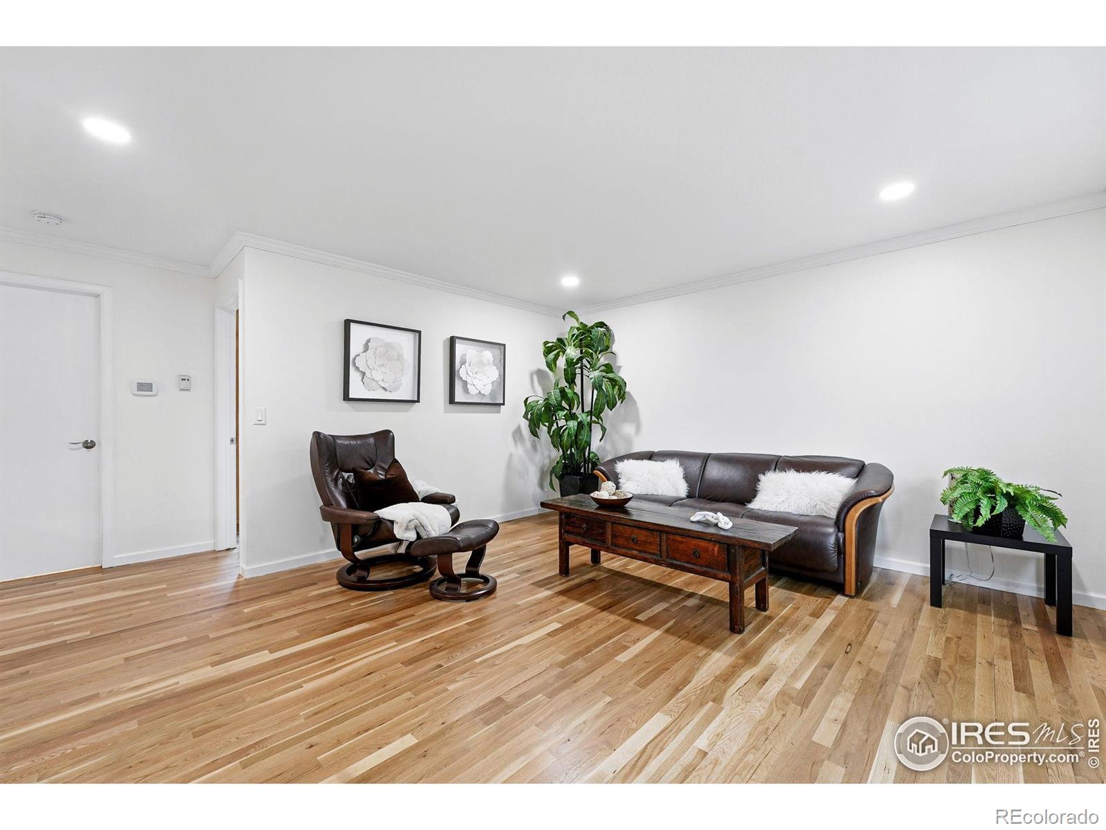 MLS Image #8 for 311 s adams drive,louisville, Colorado