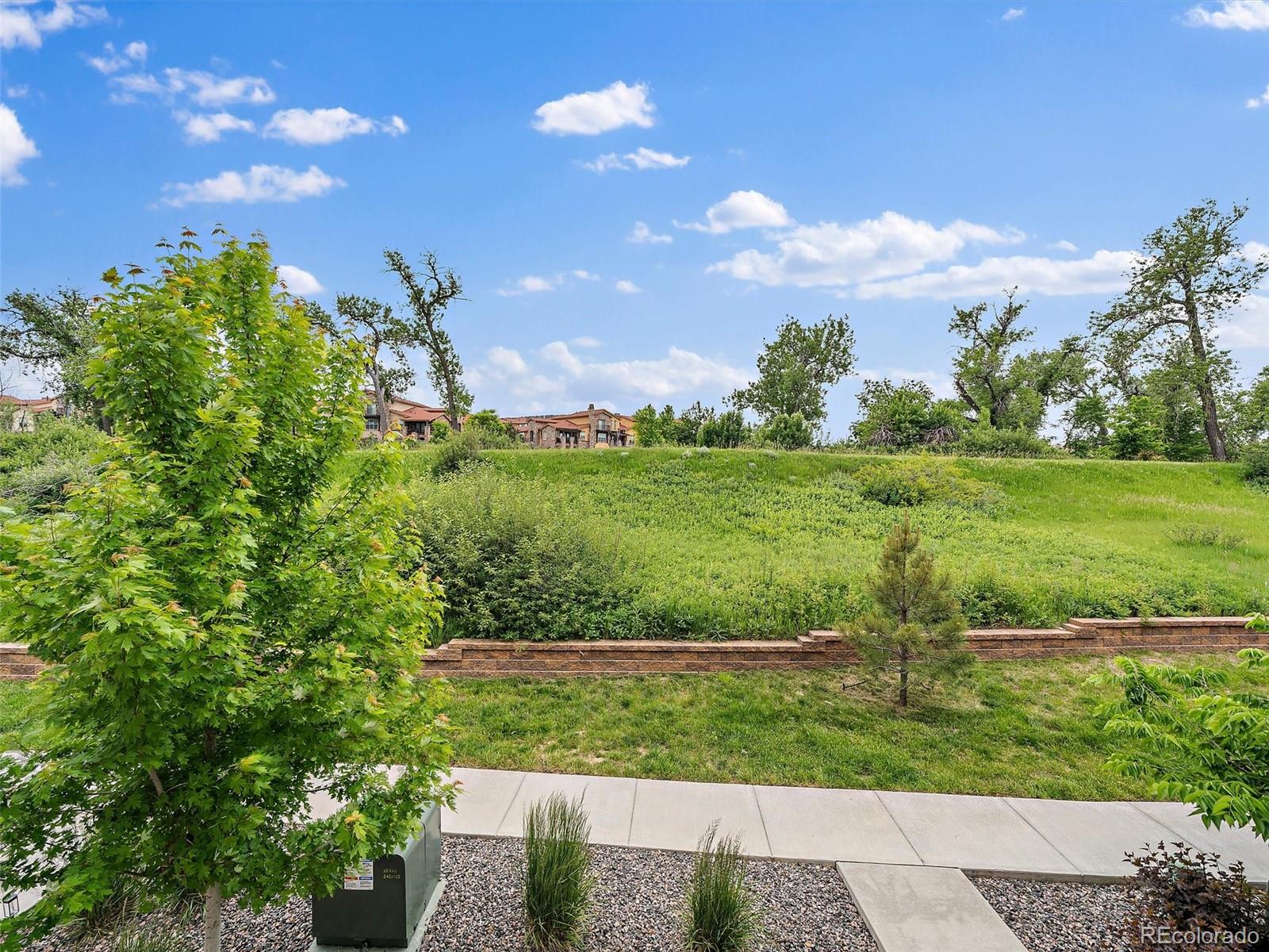 MLS Image #20 for 2468  channel drive,highlands ranch, Colorado