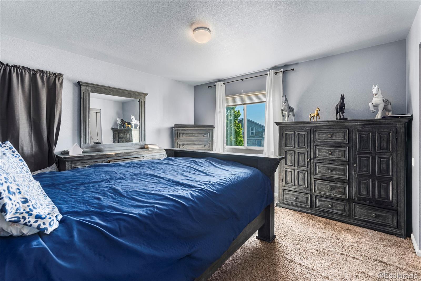 MLS Image #9 for 4528  andes street,denver, Colorado