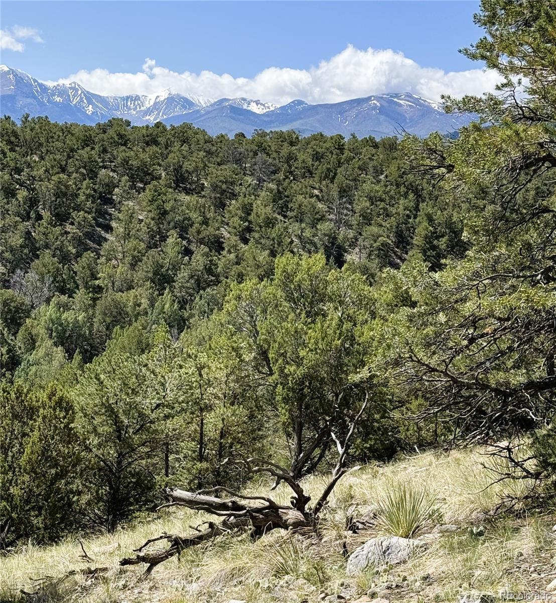 MLS Image #27 for 10990  us highway 50 ,howard, Colorado