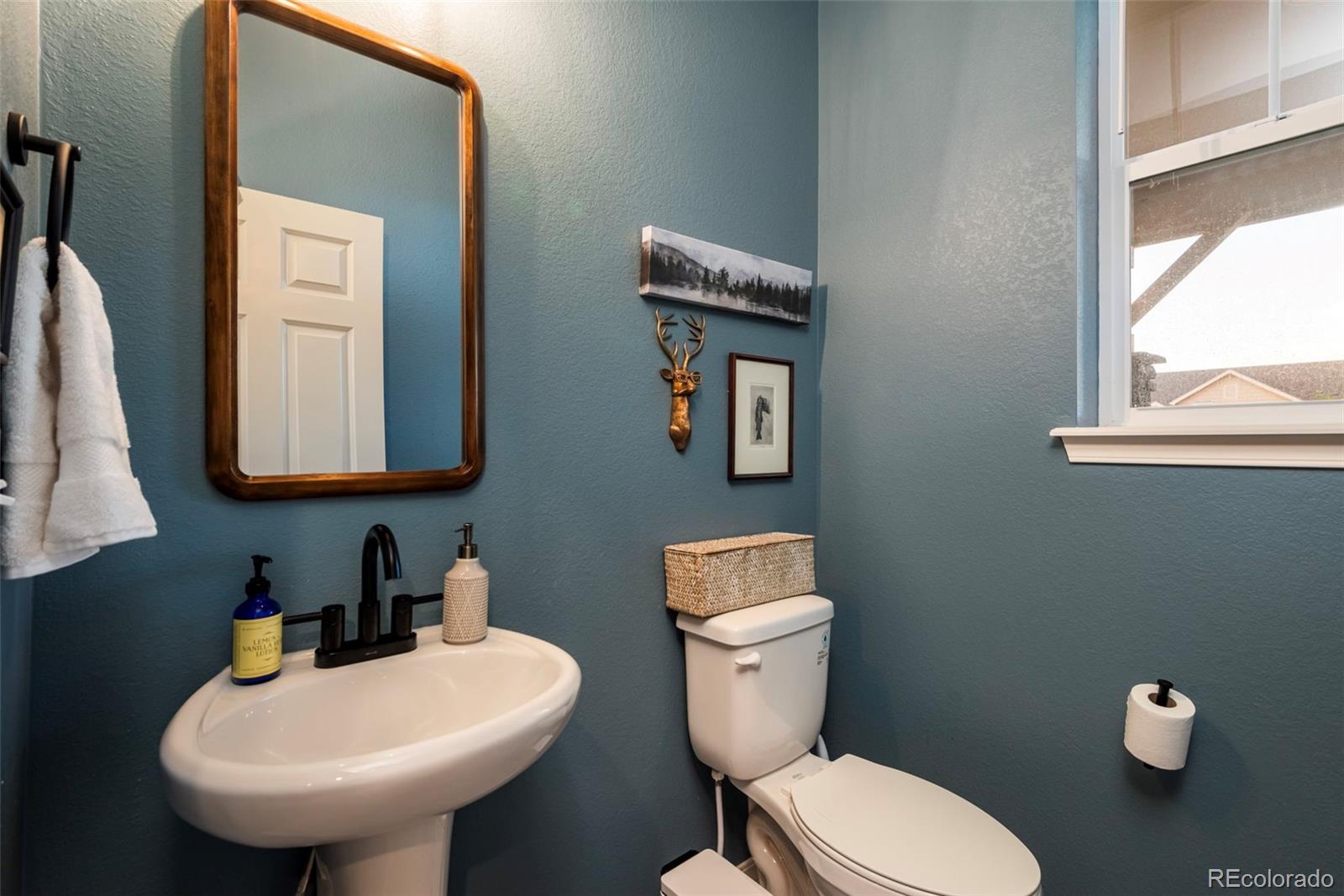 MLS Image #15 for 56  magnolia court,erie, Colorado